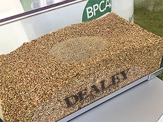 Chair of BPCA’s FaCE Forum Martin Cobbald from Dealey Fumigation was the driving force behind the representation of FaCE at Cereals and helped out on the stand on Wednesday, providing samples of grain store pests.